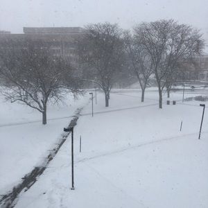 Meet your Posher, Mariah